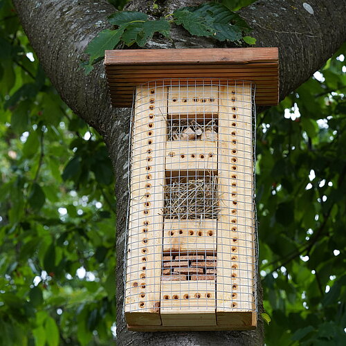 Insektenhotel_Kampf_Klein_2.JPG